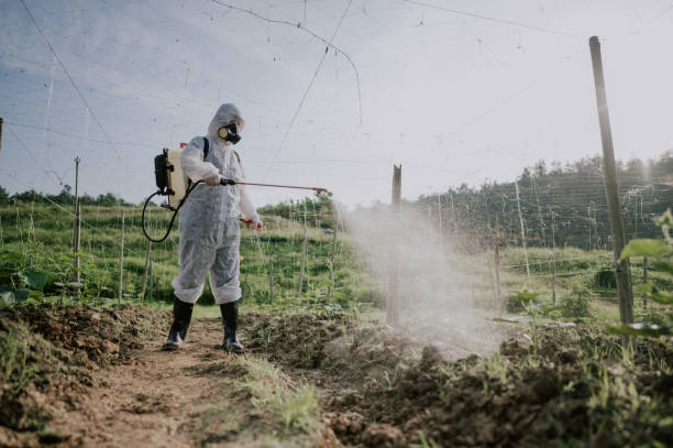 Best Ant Control Services  in Upper Brookville, NY