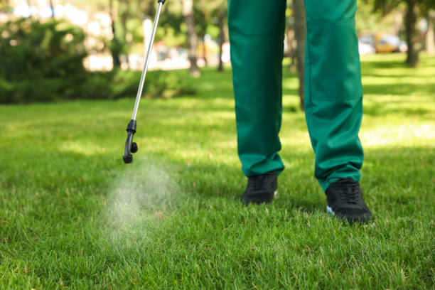 Best Insect Control  in Upper Brookville, NY