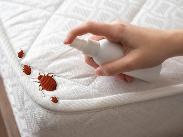 Best Cockroach Control Services  in Upper Brookville, NY
